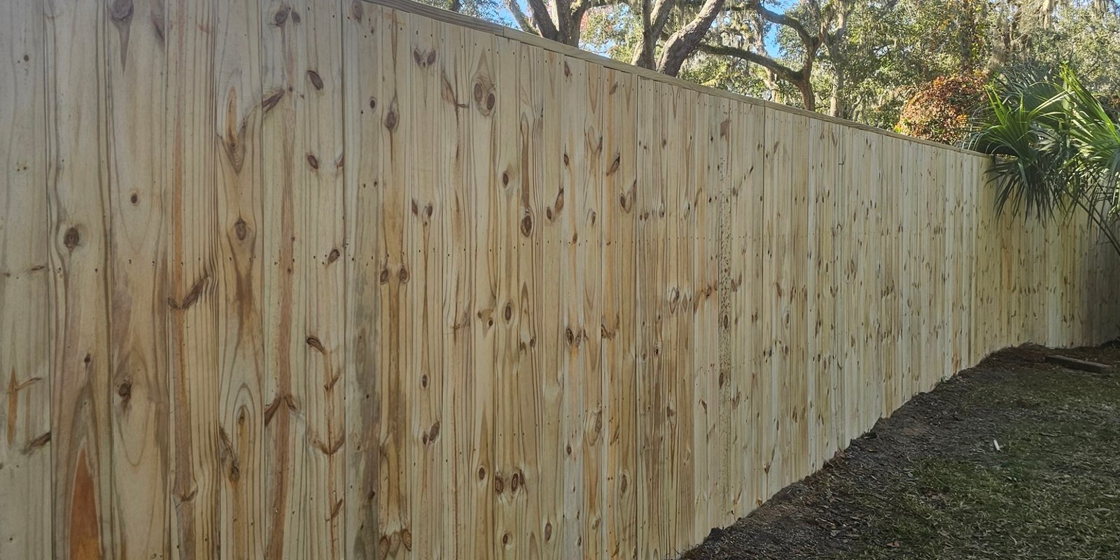Tall new pressure-treated wood privacy fence running beneath live oaks draped in Spanish moss