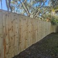 Tall new pressure-treated wood privacy fence running beneath live oaks draped in Spanish moss