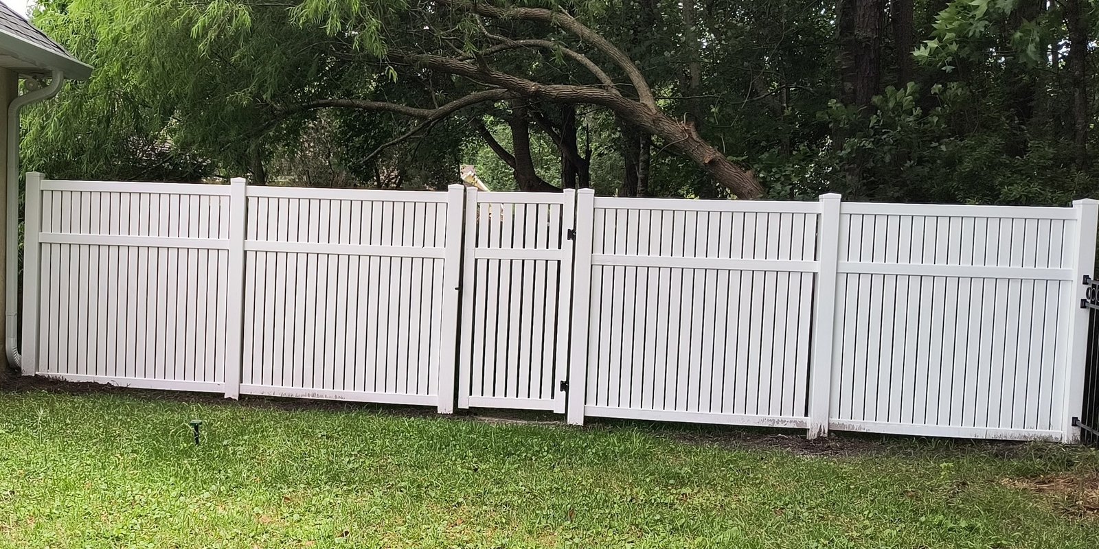 White vinyl semi-privacy fence with a gate and a fallen tree limb resting across the panels